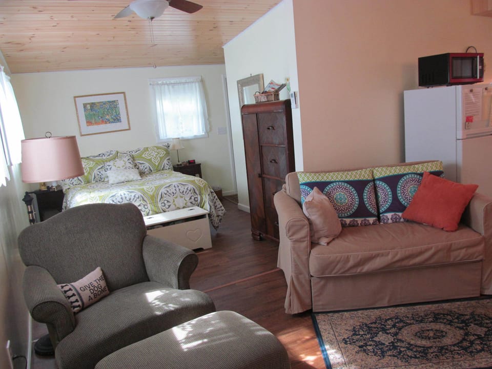 Living room with pull out couch.