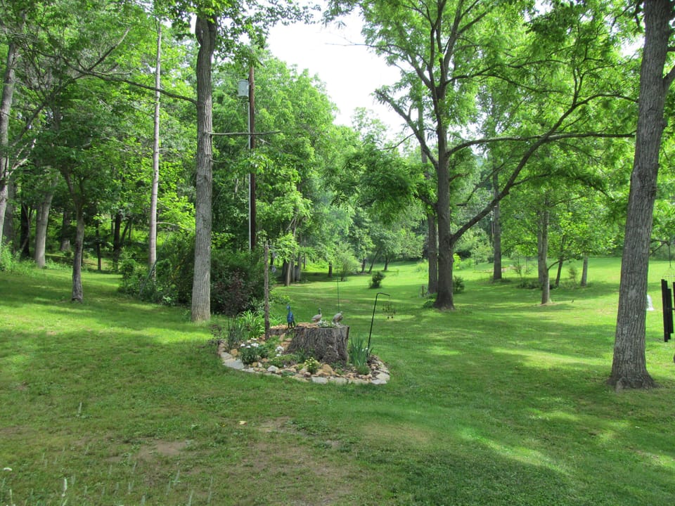 Our back yard you are welcome to enjoy or walk your dog.