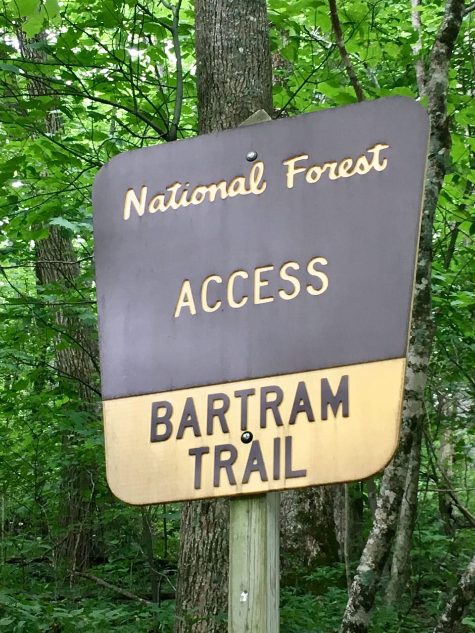 Entrance right up road from cabin