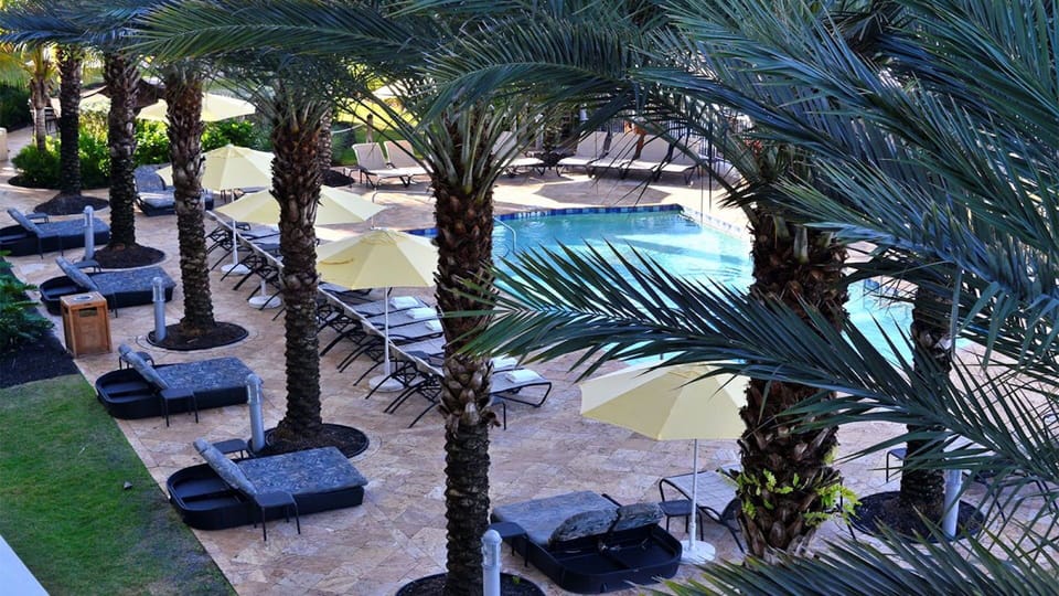 Pool and pool deck