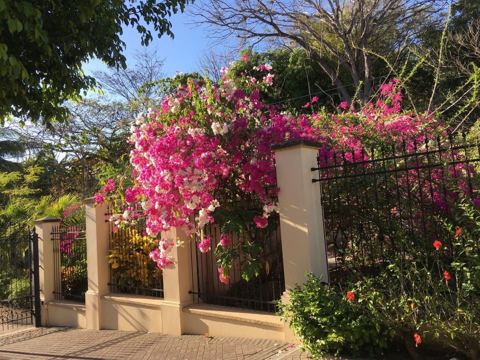 The distinctive gated entrance is surrounded by flowering plants.