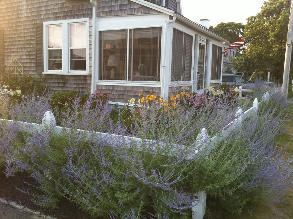 Beautiful gardens abound