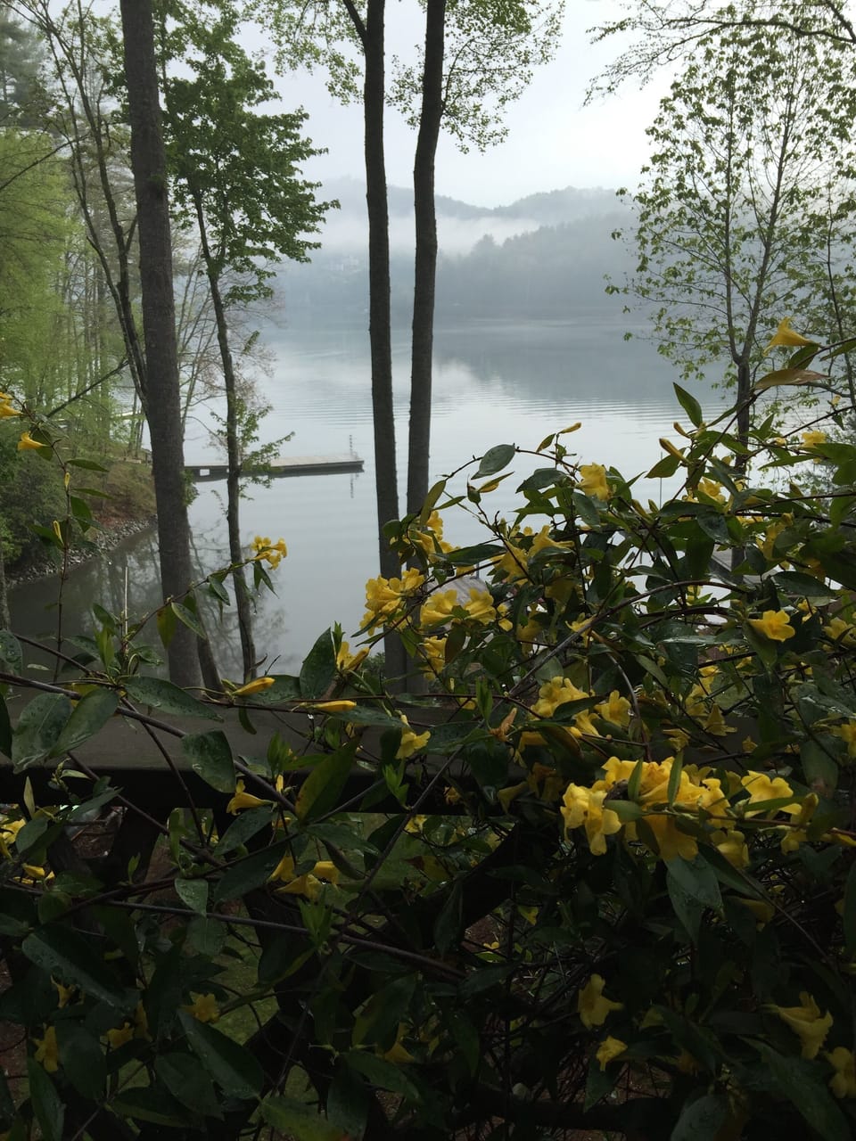 As the fog lifts ,the lake is spectacular . Fishing is excellent .