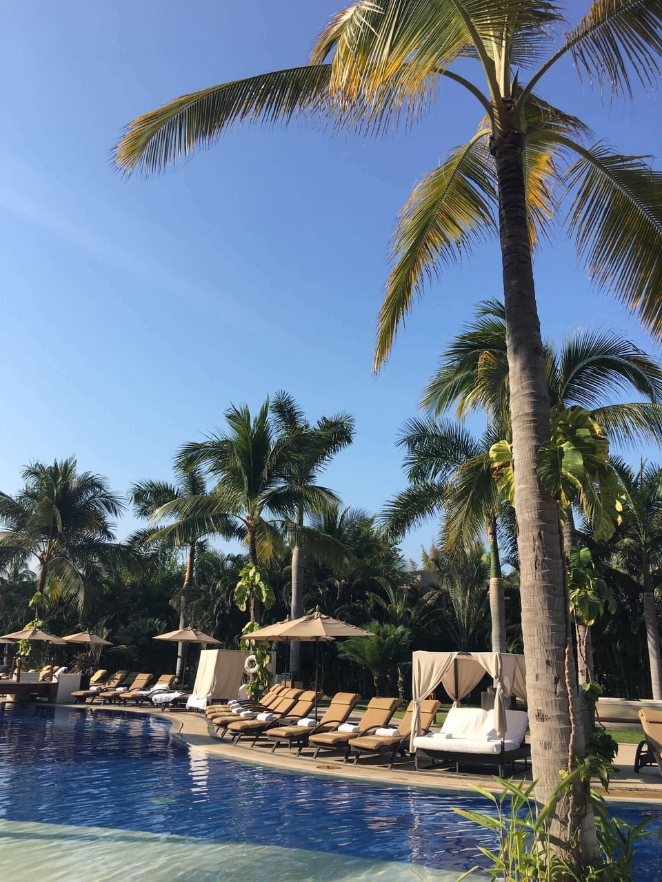 Main pool