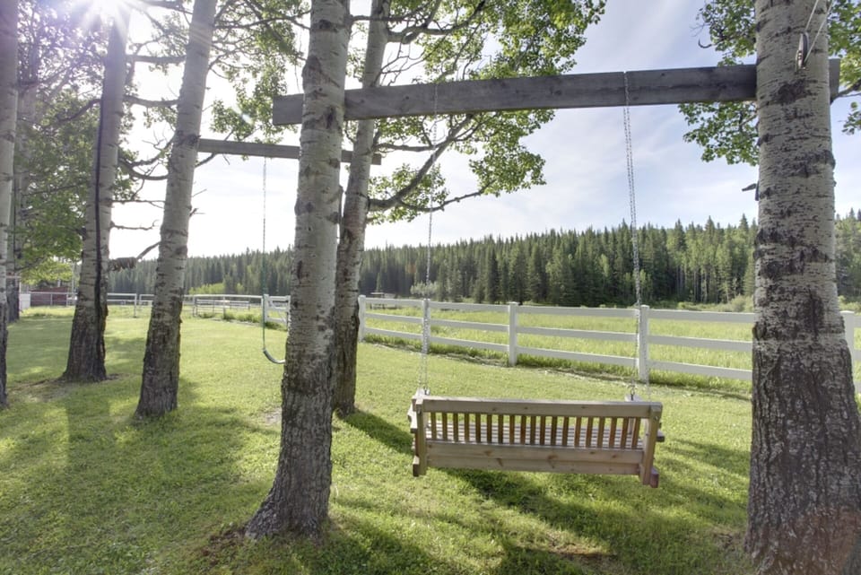 A swing overlooking the pasture