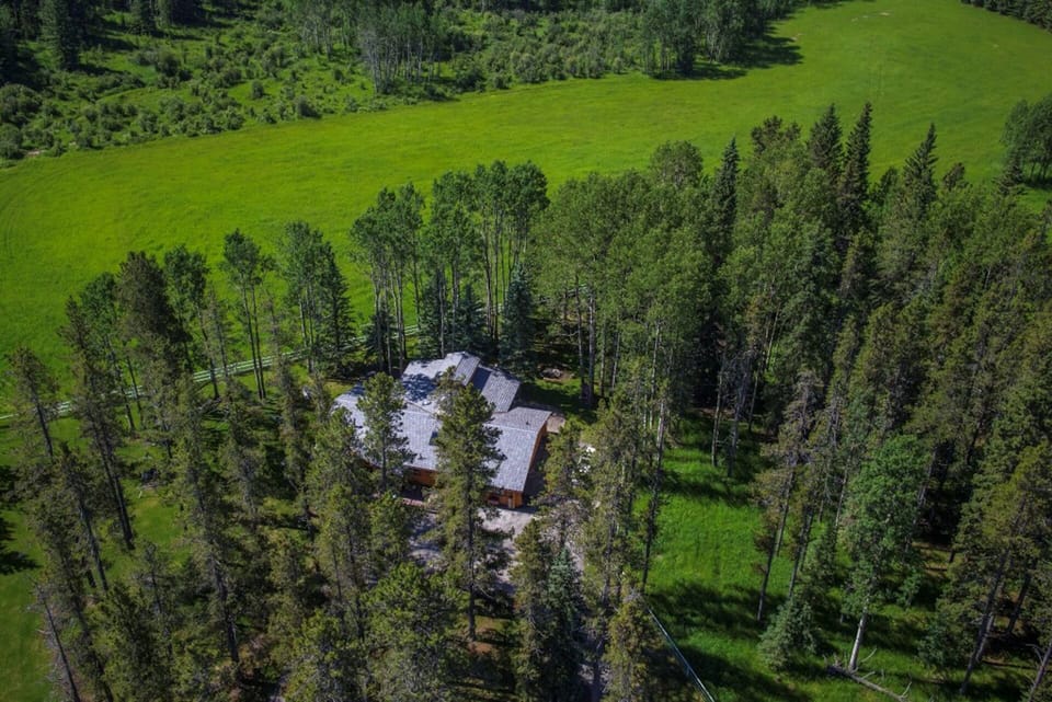 Deer House from above