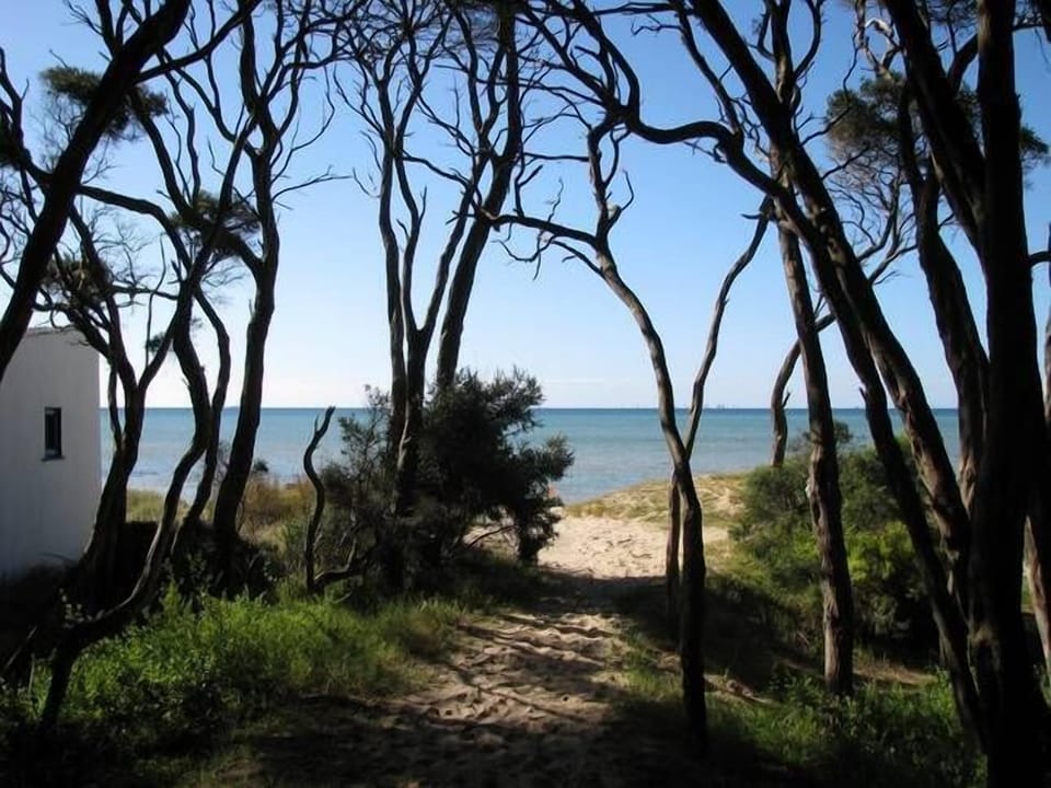Front beach