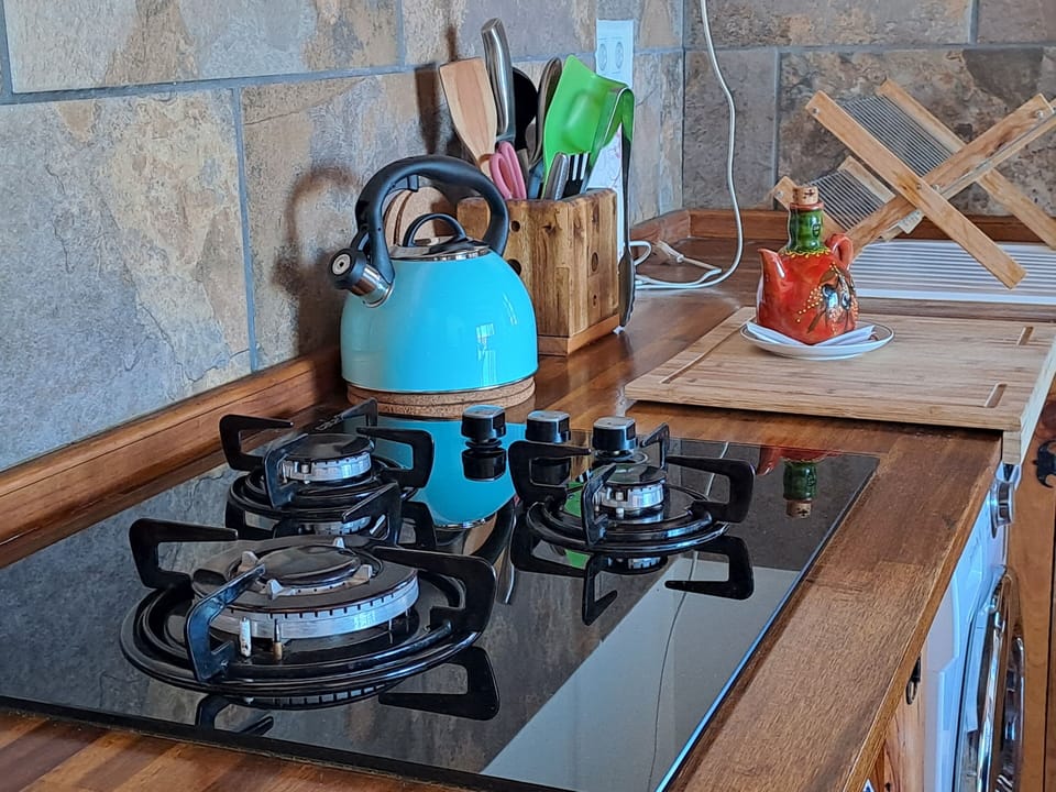 kitchen equipped with a stove top and fridge