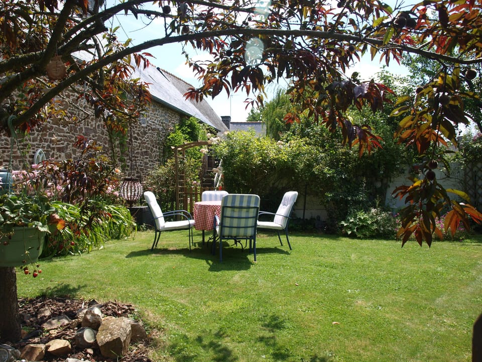 Another garden area to sit and relax in 