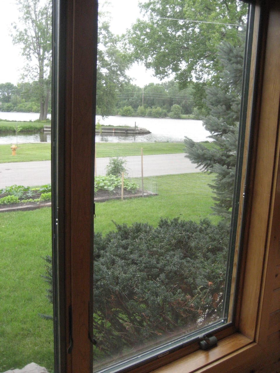 view from every window
