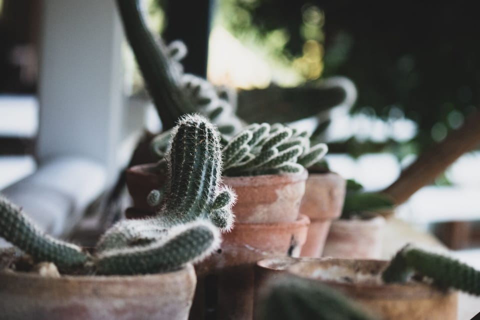 Outside Views