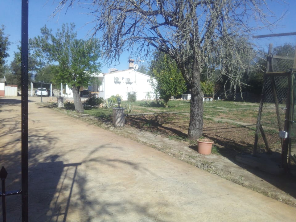 Property grounds