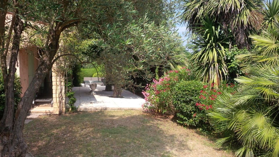 Terrace from the side 