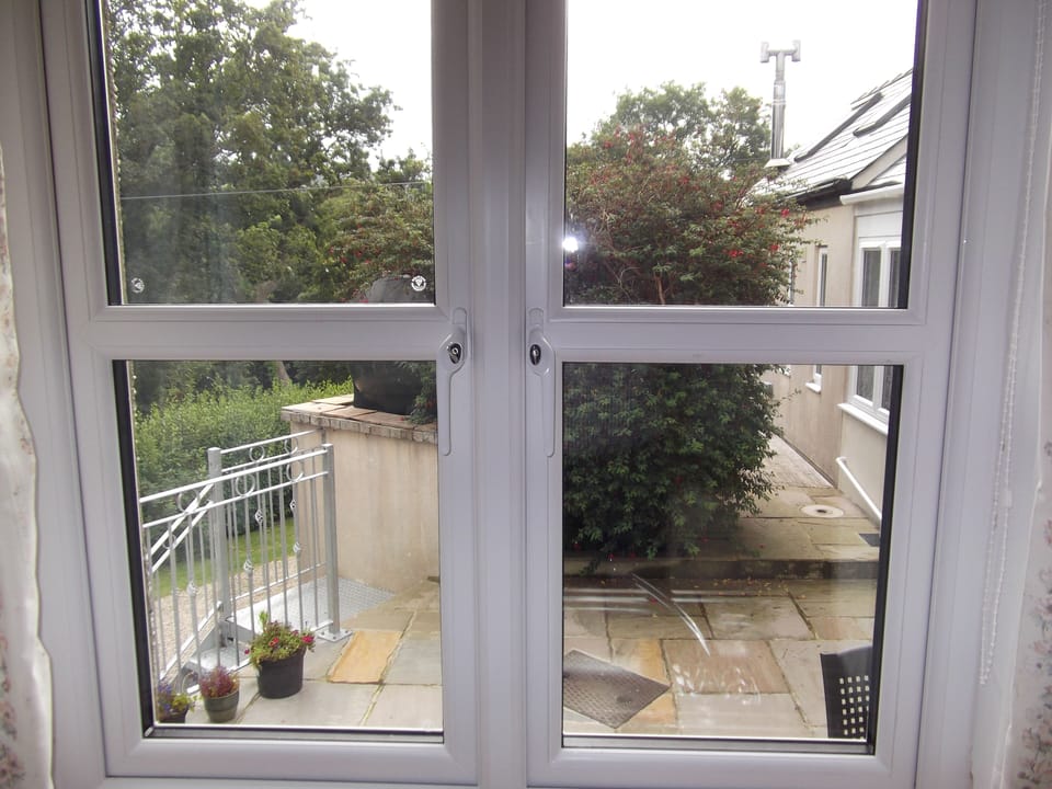 View from the Kitchen Window
