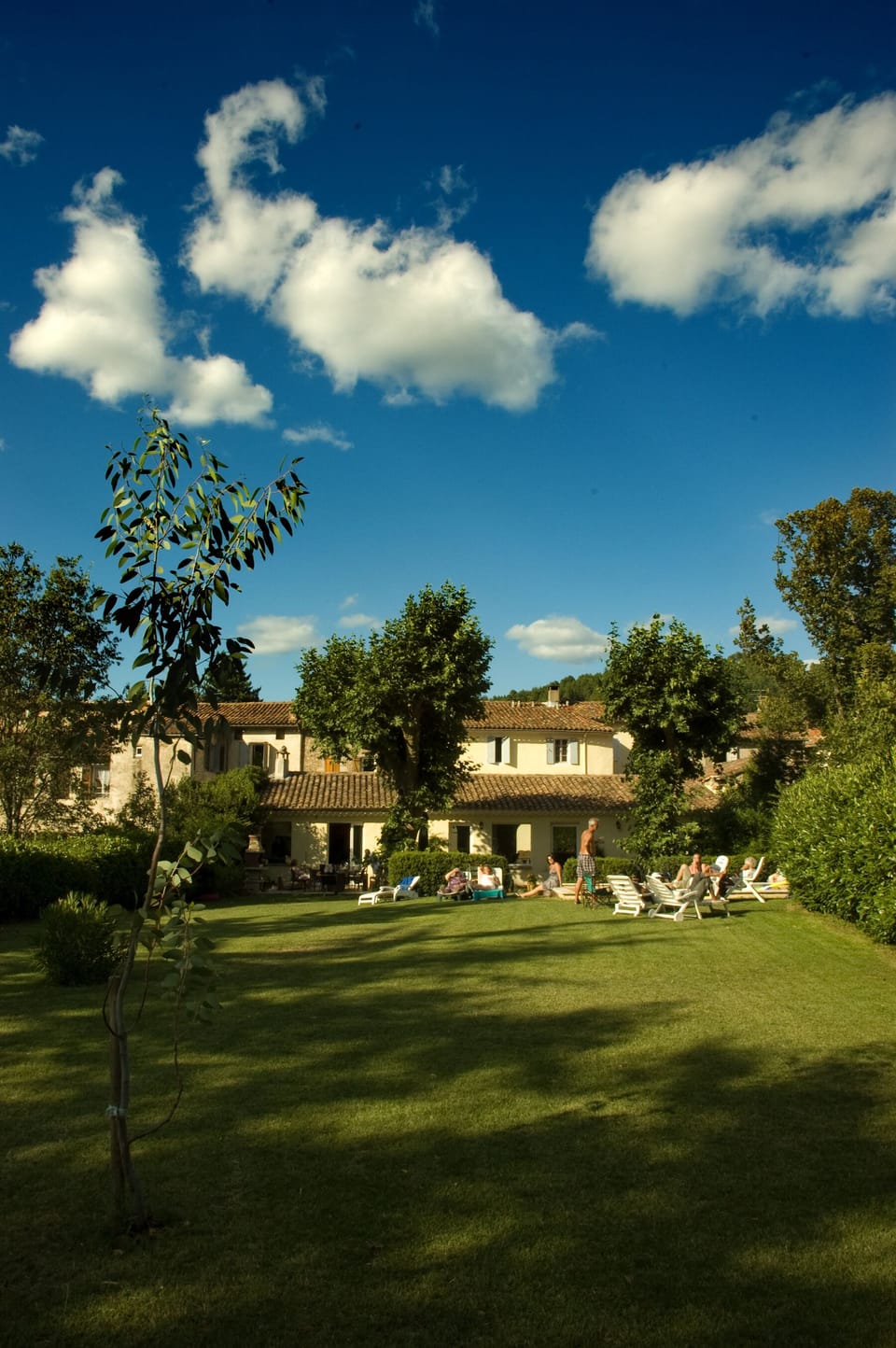 View from the end of the garden