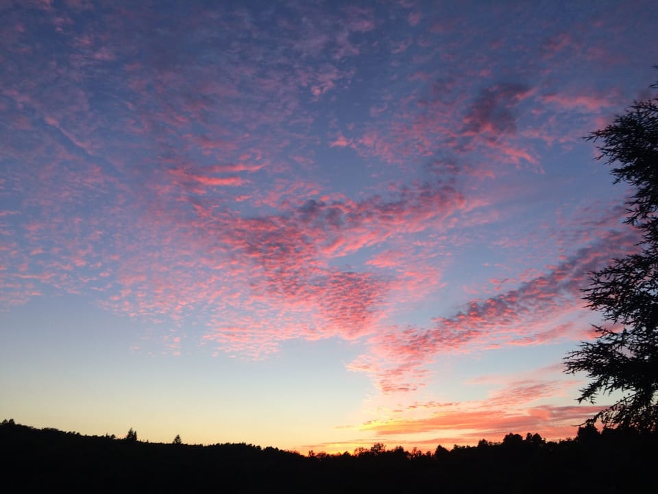 Sunset again 
