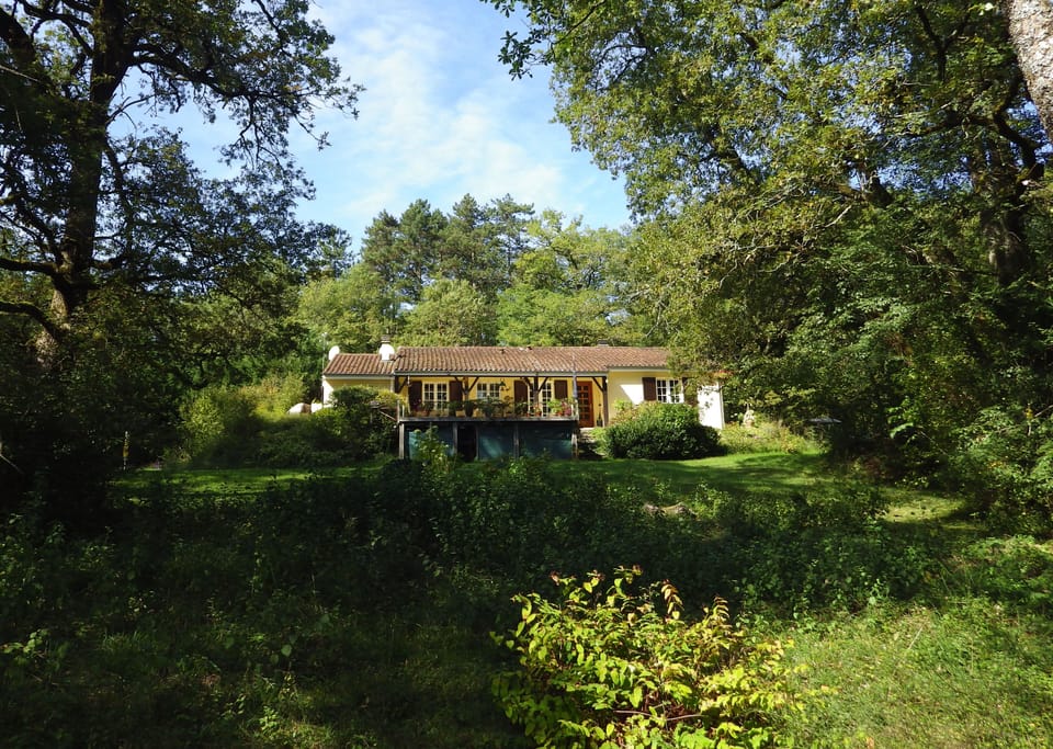 Nestled in woodland