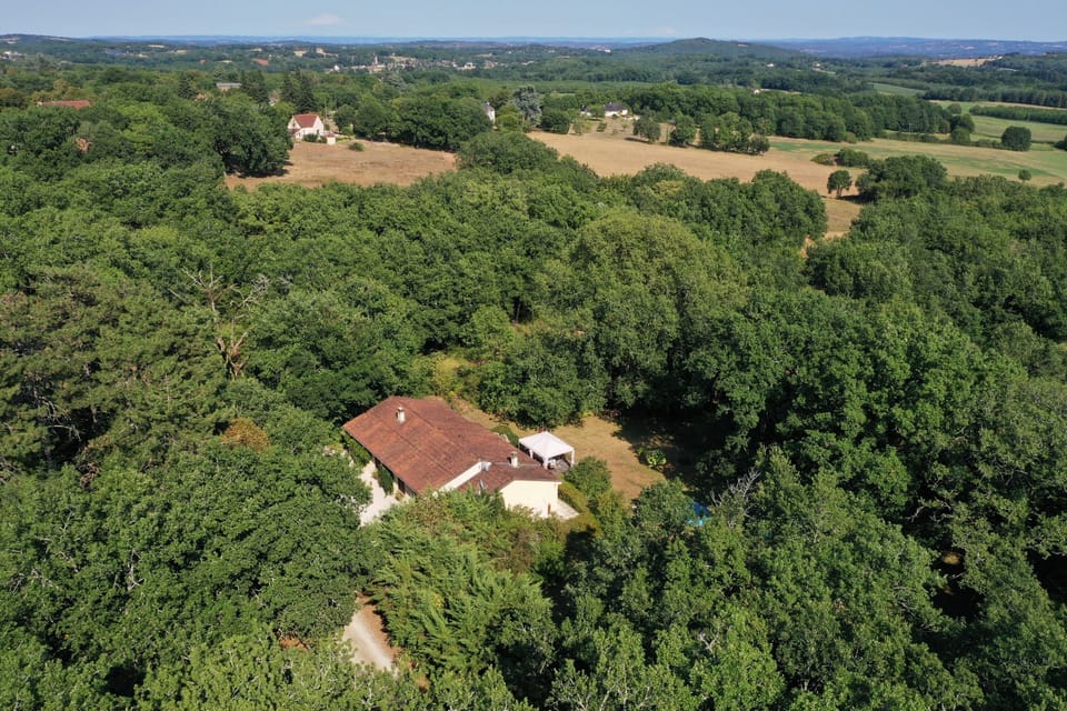 aerial view
