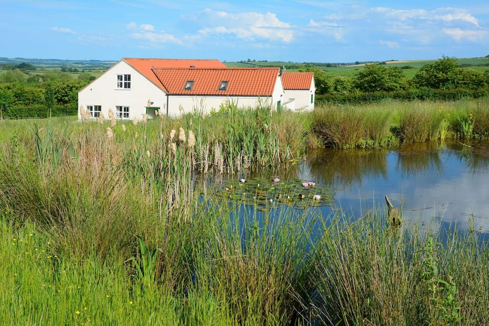Wildlife pond within the relaxing & natural grounds of Greetham Retreat.