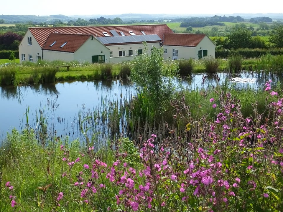 View over the wildlife pond to the holiday cottages