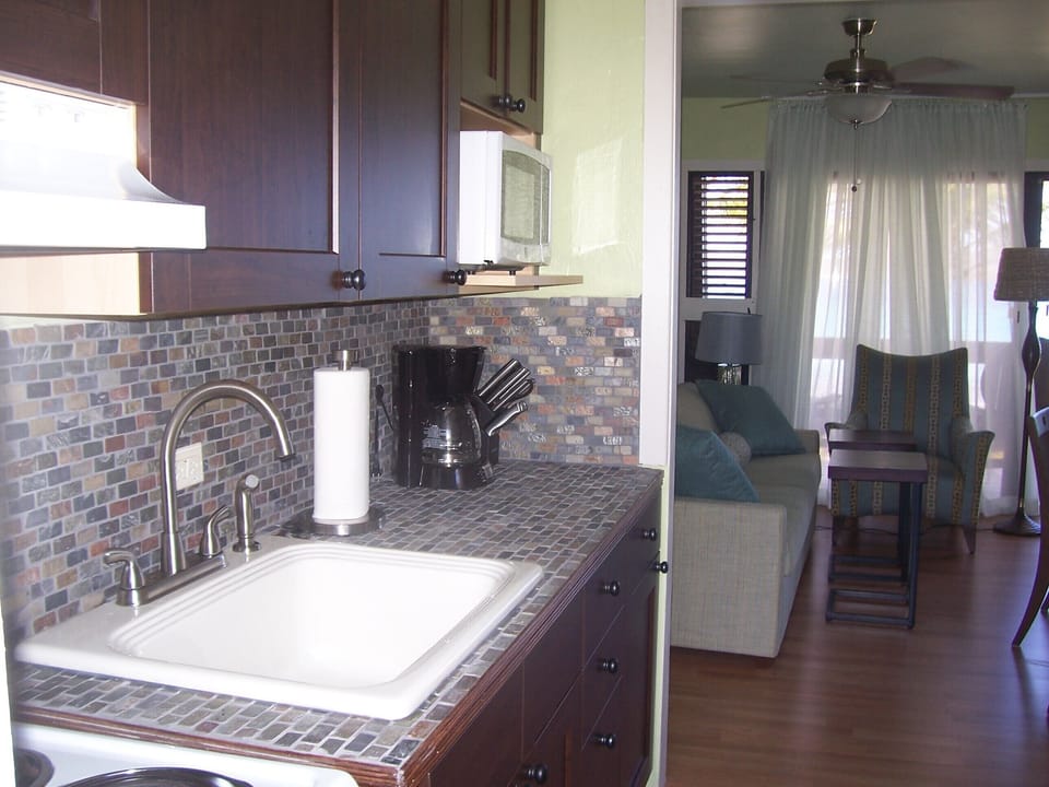 Kitchen and living area