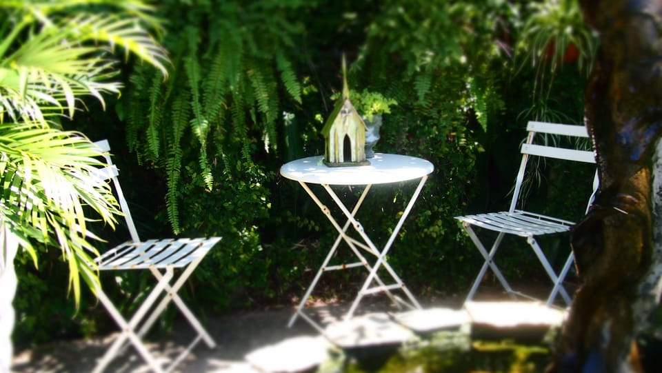 Backyard oasis with tropical plantings.