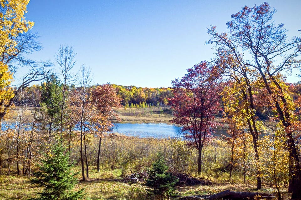 Head left to Bass Lake and right to Roy Lake. 15 minutes boat ride to Zorbaz