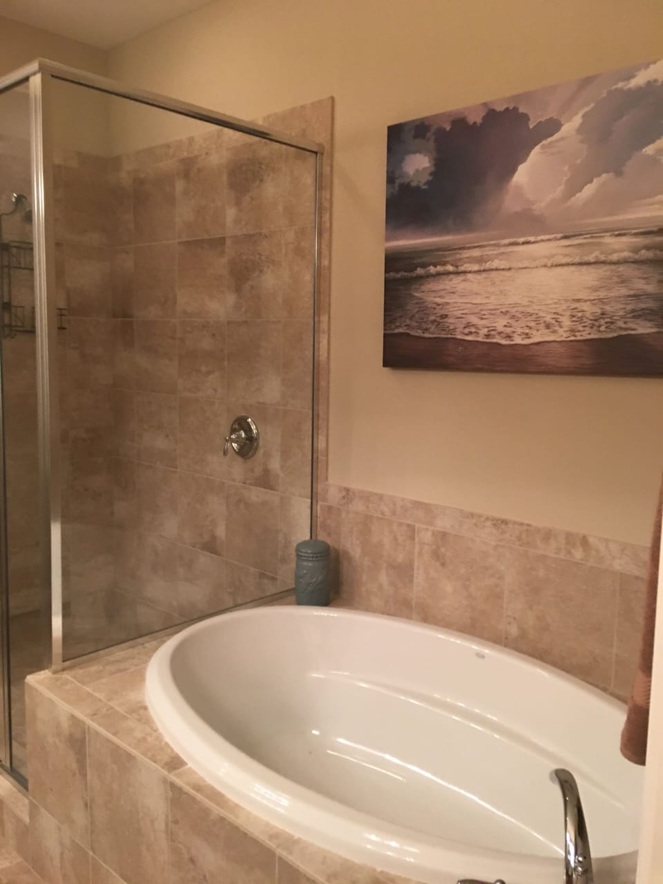 Master bathroom equipped with soaking tub