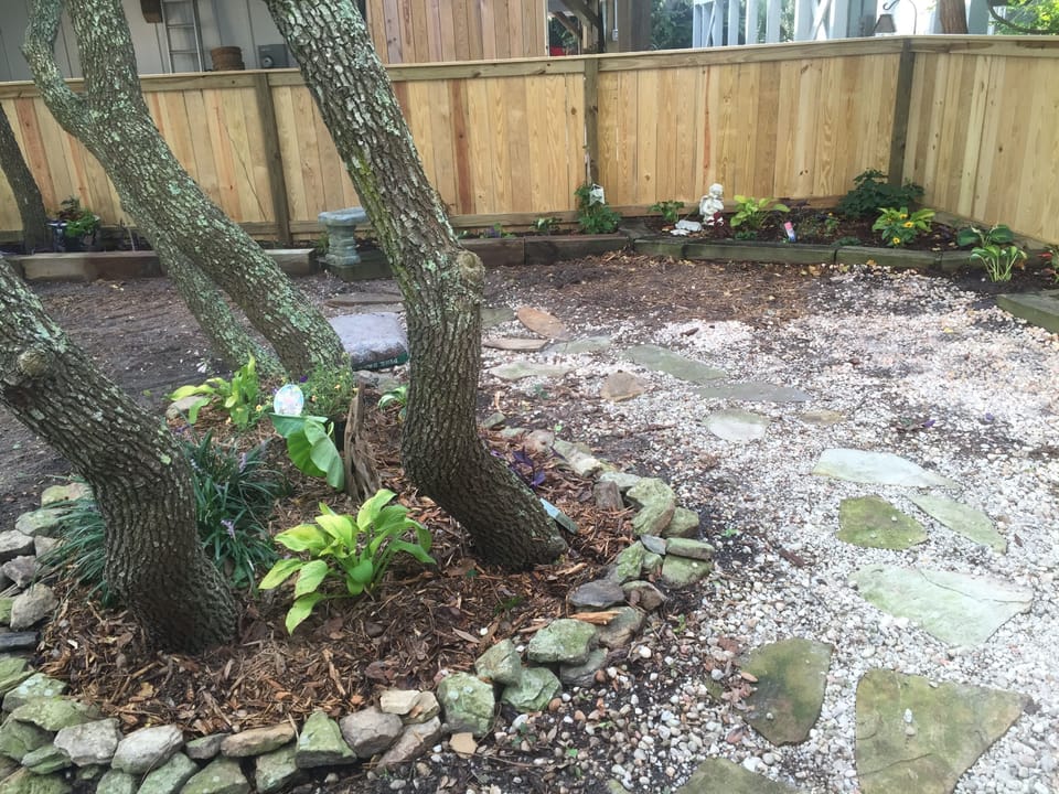 Backyard Garden always changing witht the season
