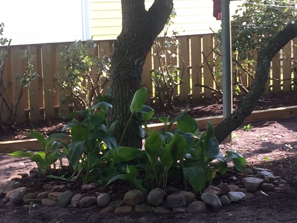 Fenced in back yard garden area with seating and hose for rinsing off the sand.