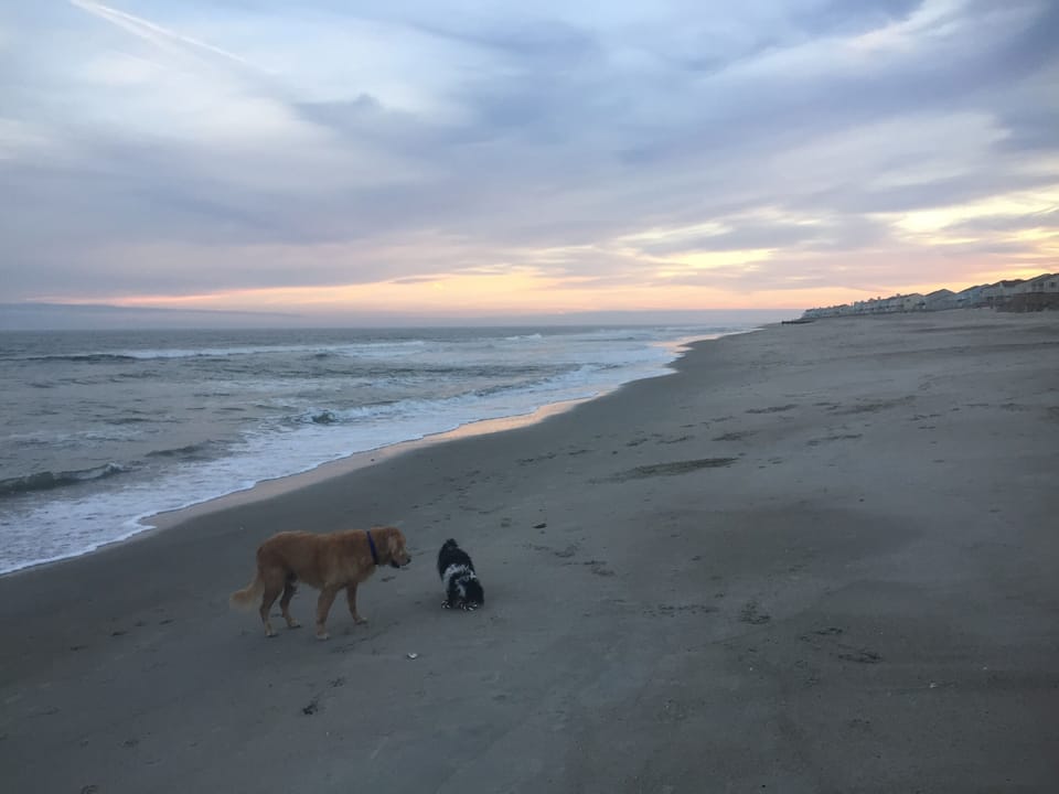 Beach Walking on a winter day