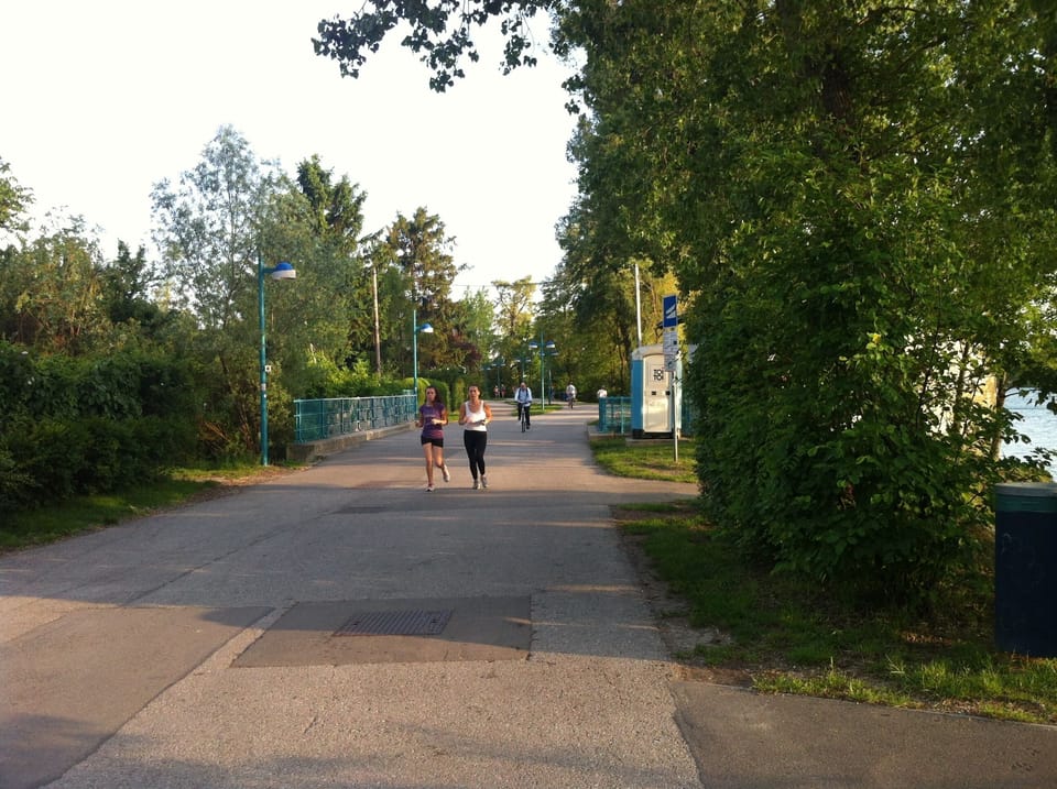 Walking along the Old Danube close to the house