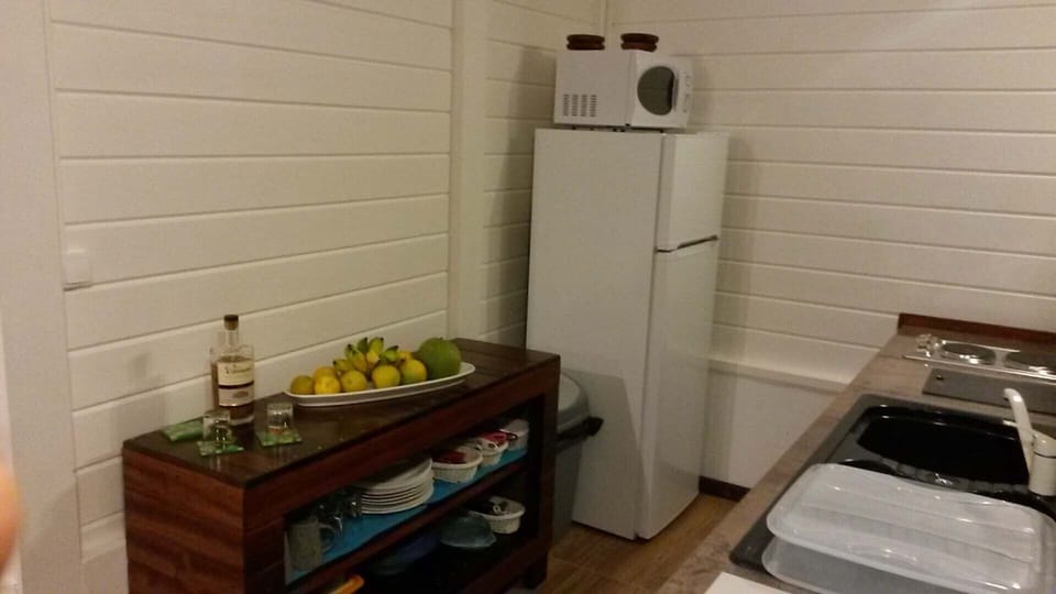 300l fridge and congelator