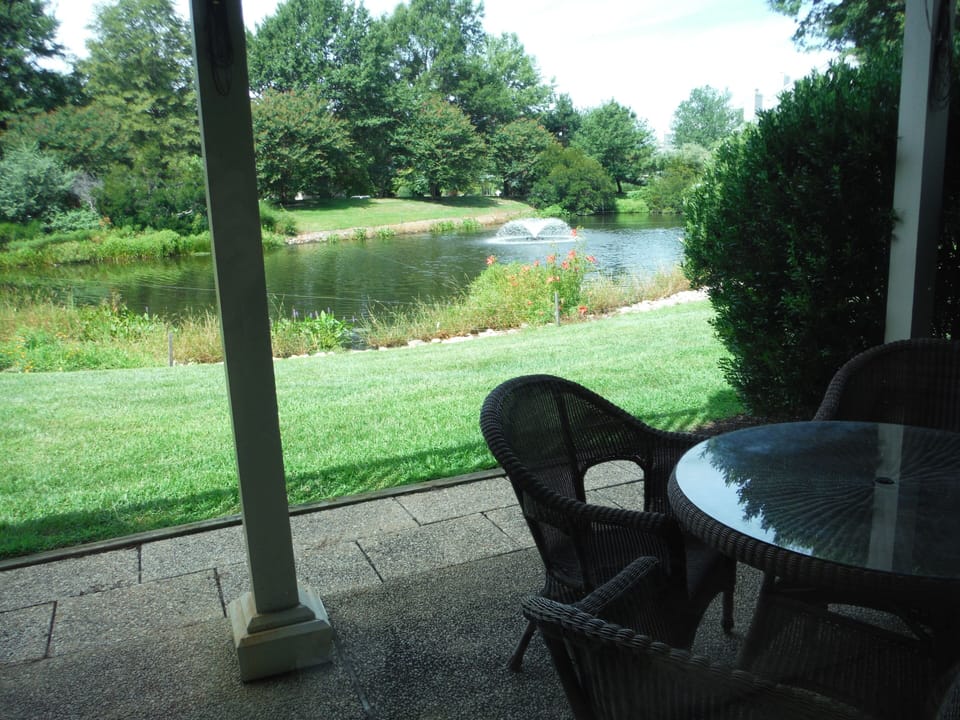 View from back patio.