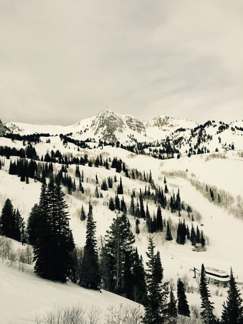 On the mountain