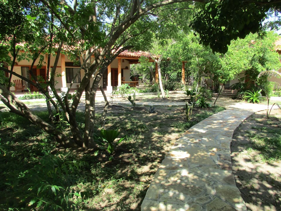 Main casita in green season.
Guest casita is hidden in the trees on the right.
