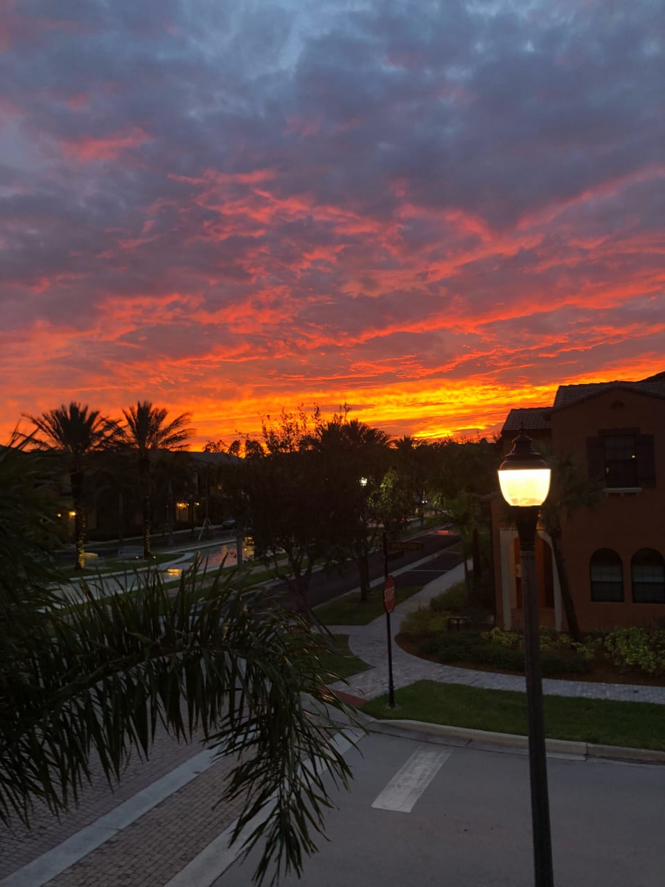 Beautiful sunset from our deck