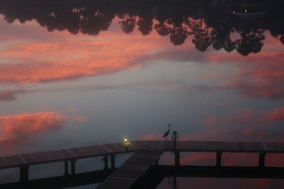 Sun Rise with the resident Blue Heron