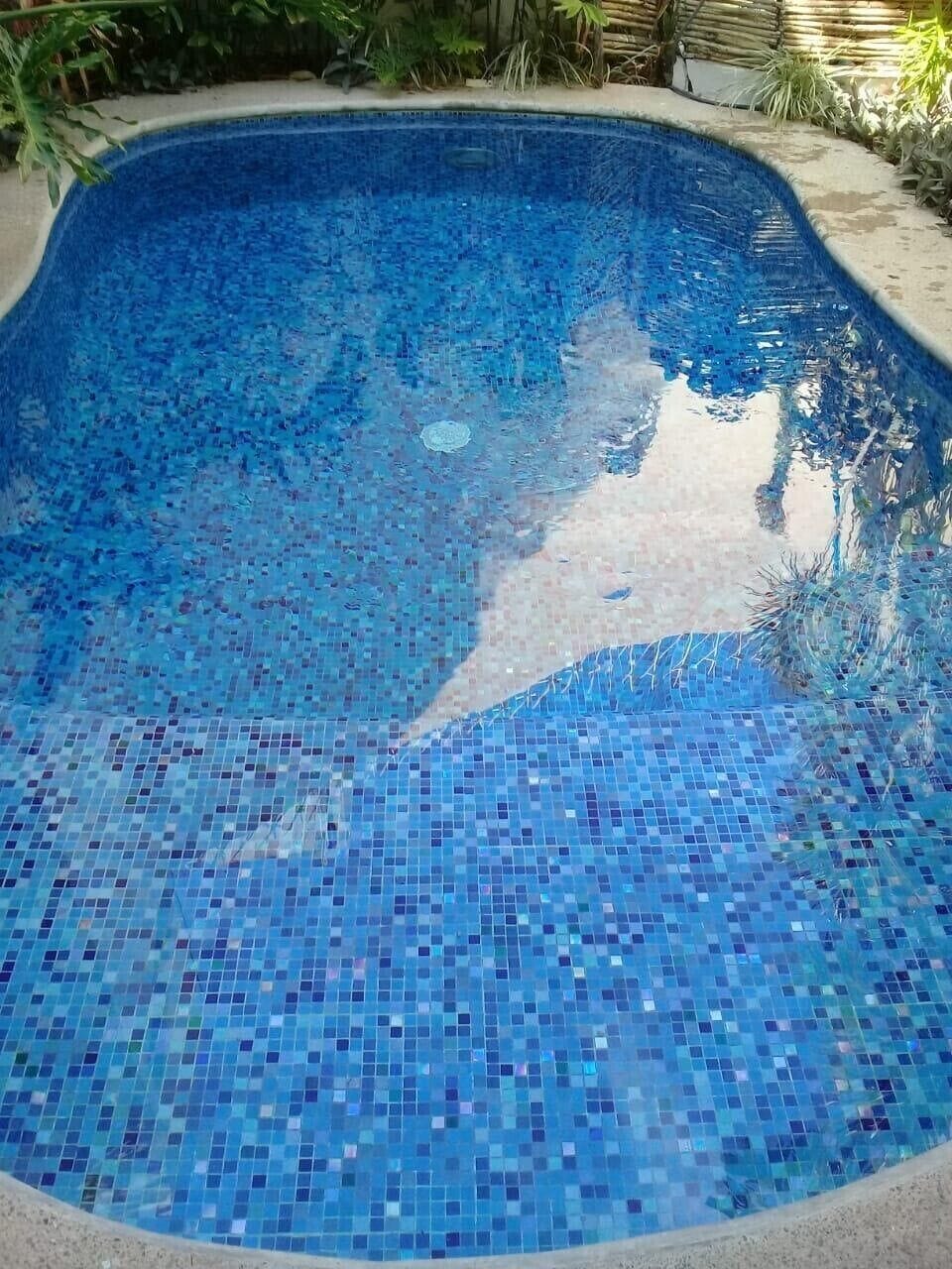 The pool has a shallow shelf for sitting