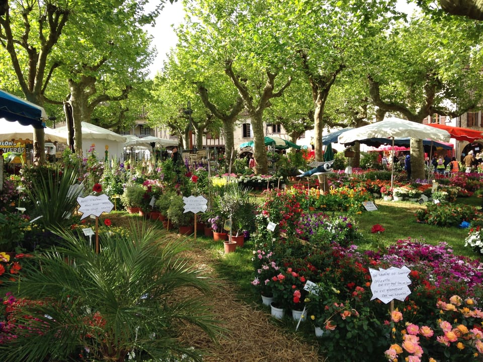 Local festivals such as the Fources flower fair