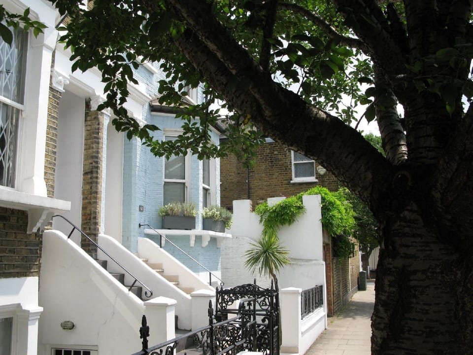 Blue house exterior on our tree-lined street