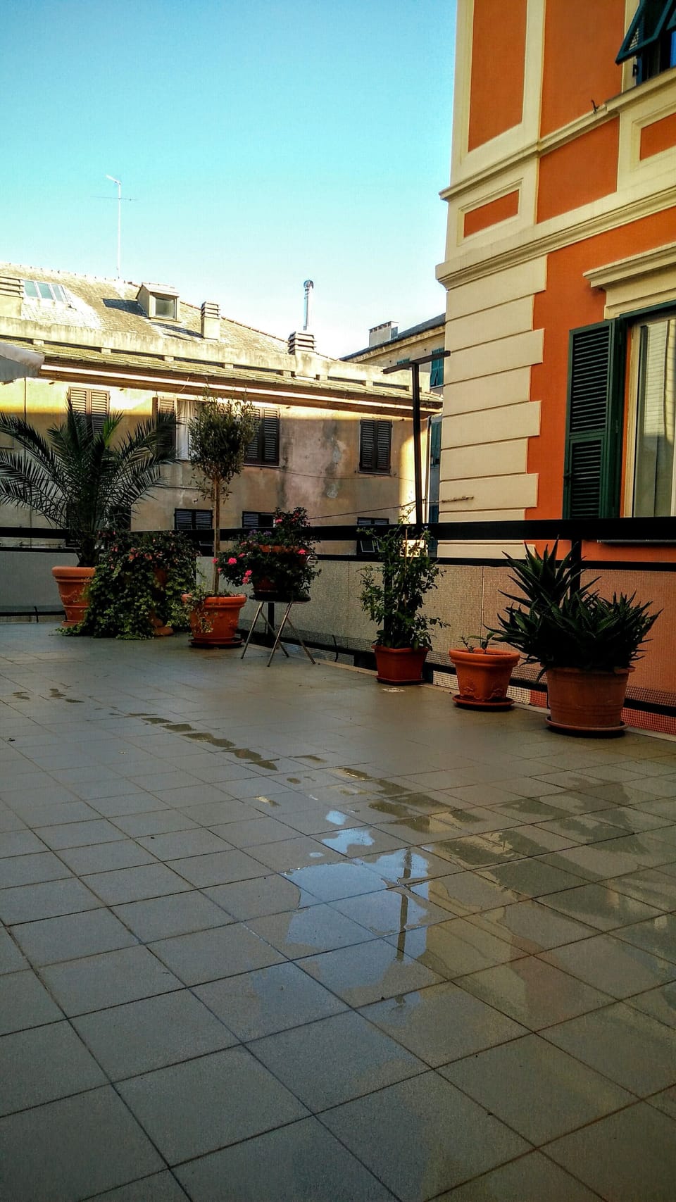 Terrace/patio