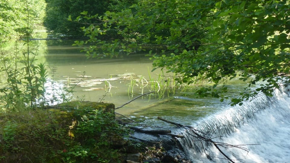 Wier & River-from your Window
