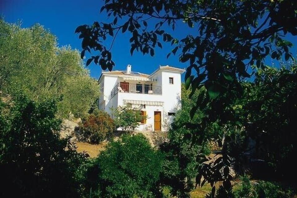 Aphroula's House - before the trees grew up