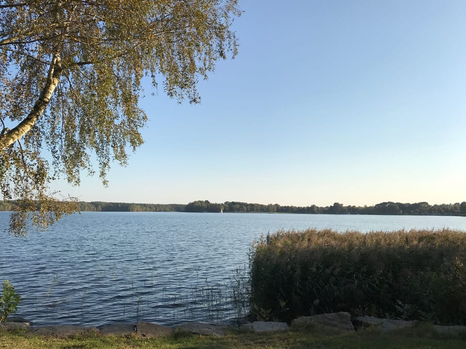 Lake