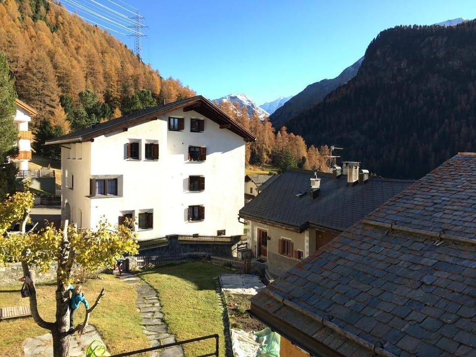 autumn view / garden