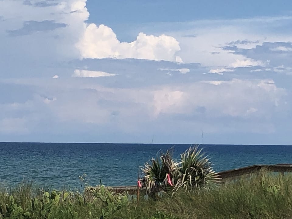 View from Balcony