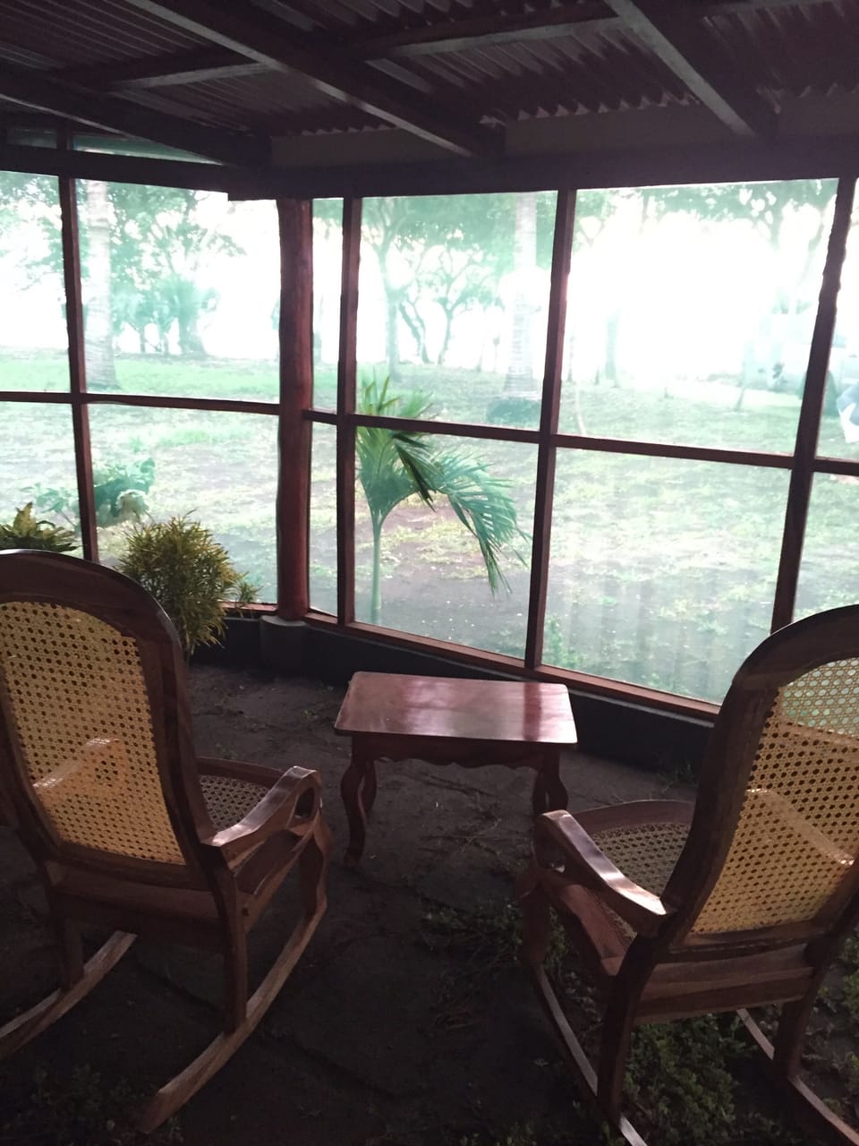 view from the screened in porch