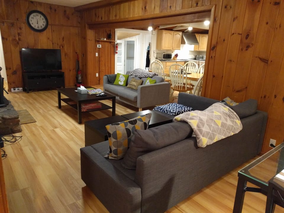 Living Room w/ Pullout Couch