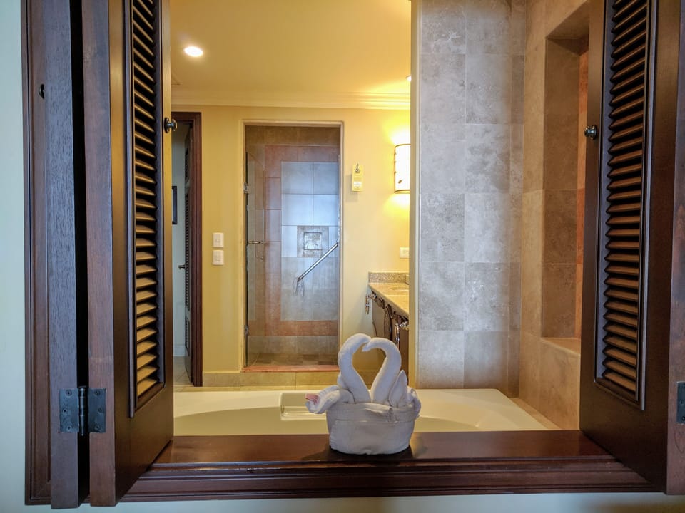 Master bathroom from bedroom